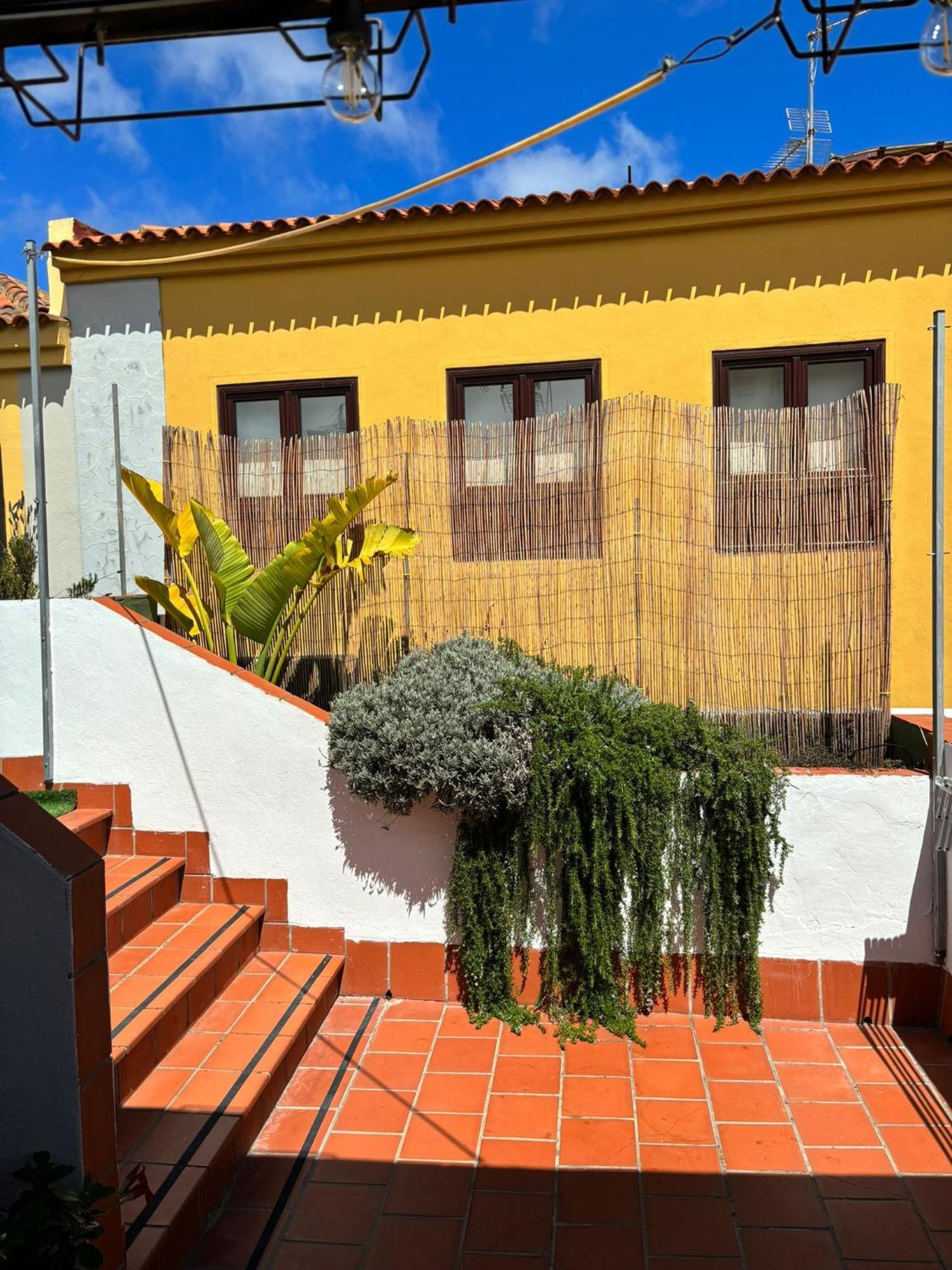 Agradable Casa Con Terraza Apartment ลาลากูนา ภายนอก รูปภาพ